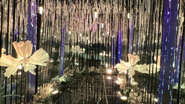 Google Photo 3