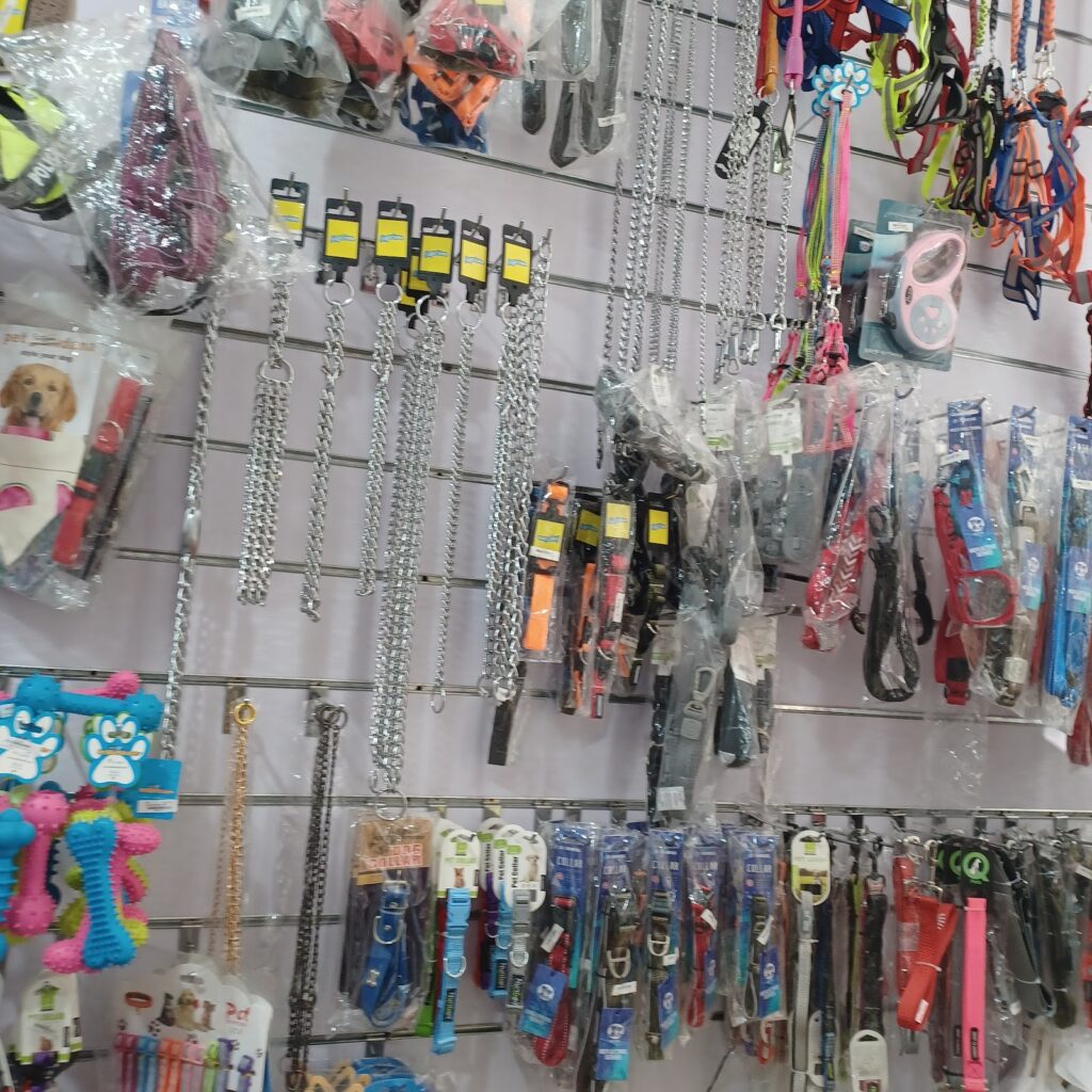 Google Photo 10