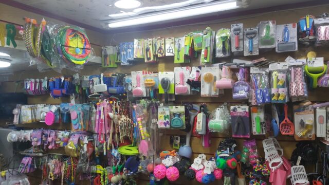 Google Photo 3