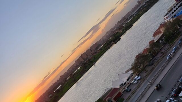 Google Photo 5