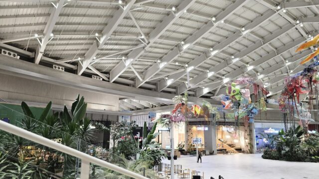 Google Photo 6