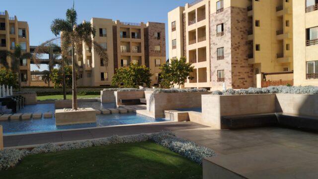 Google Photo 8