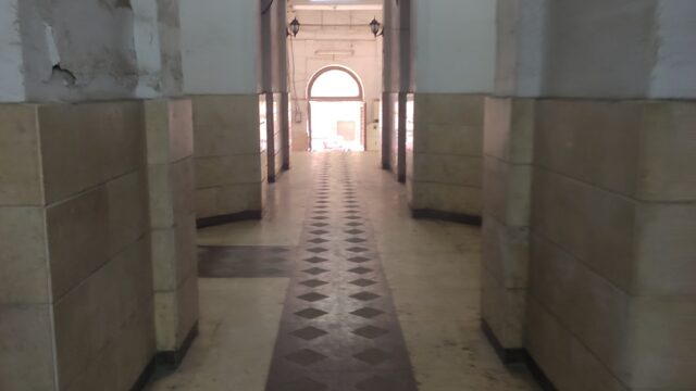 Google Photo 5
