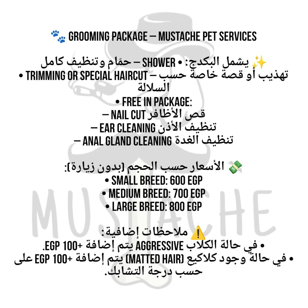 شارب السيد بيجاد