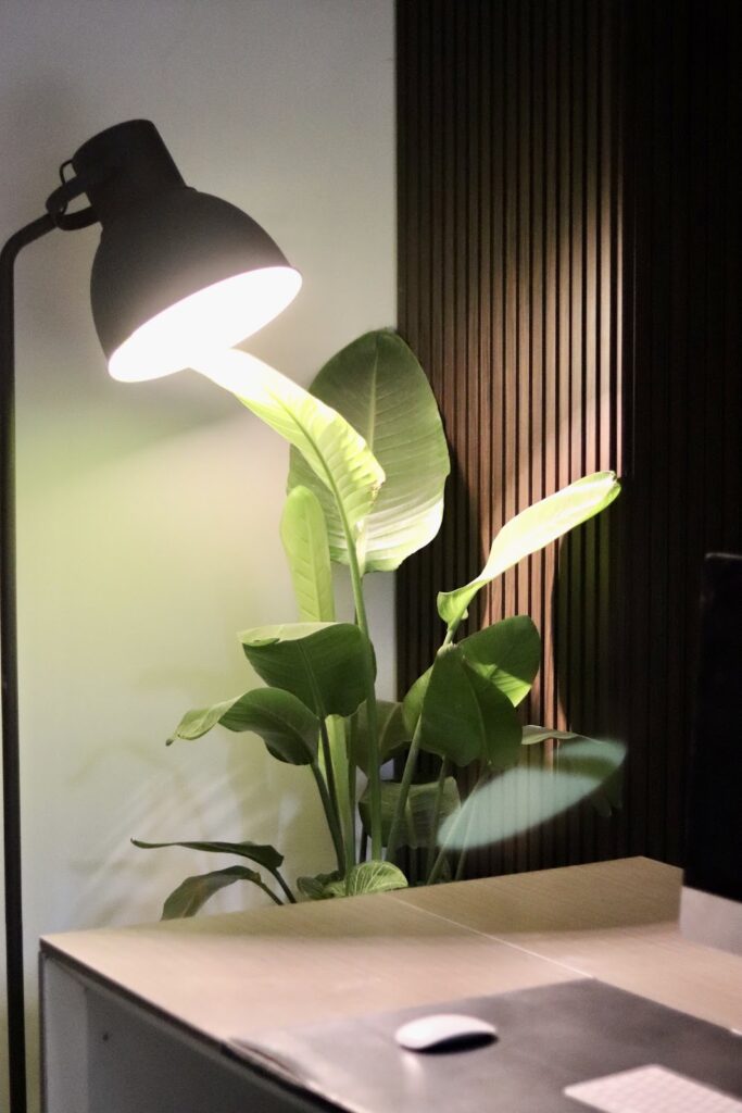 Google Photo 8
