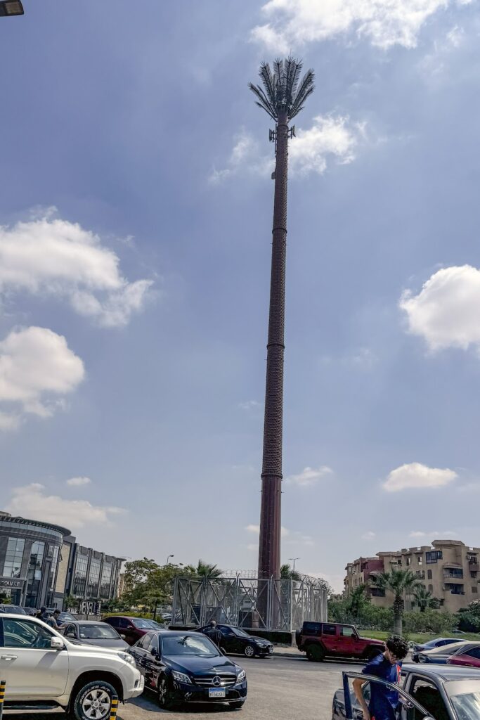 Google Photo 8