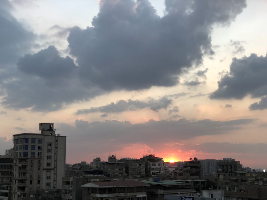 Google Photo 5