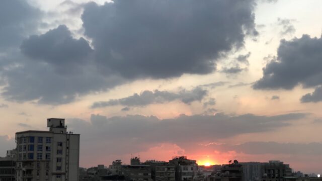 Google Photo 5