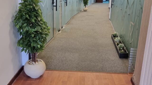 Google Photo 5