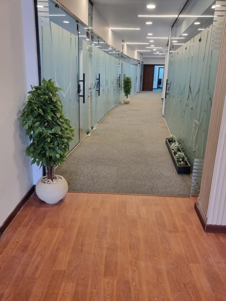 Google Photo 5