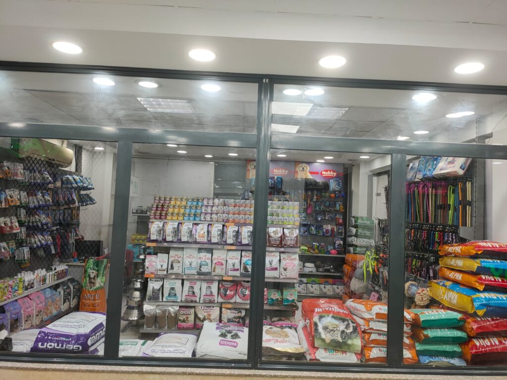 Google Photo 6