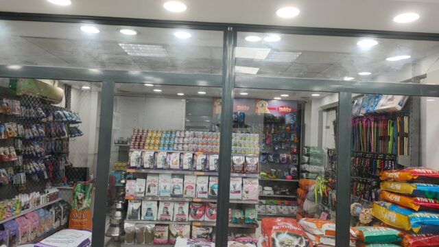 Google Photo 6