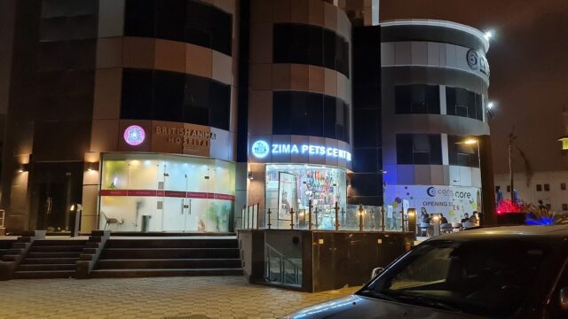 Google Photo 8