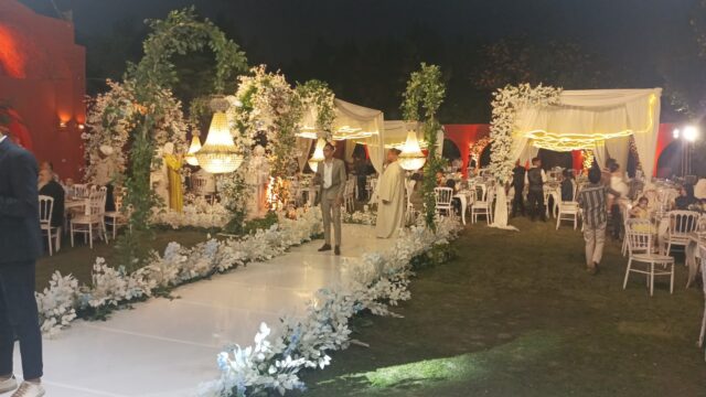 Google Photo 3