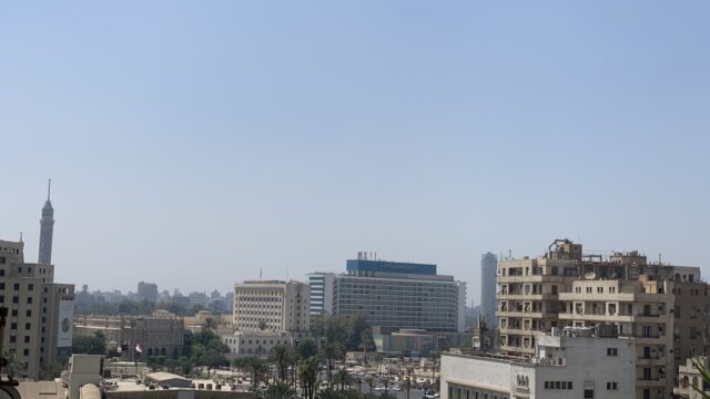 Google Photo 8