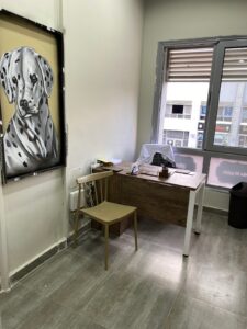 Photo 4