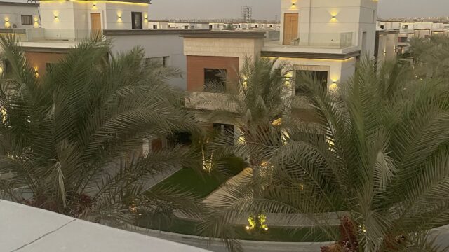 Google Photo 5