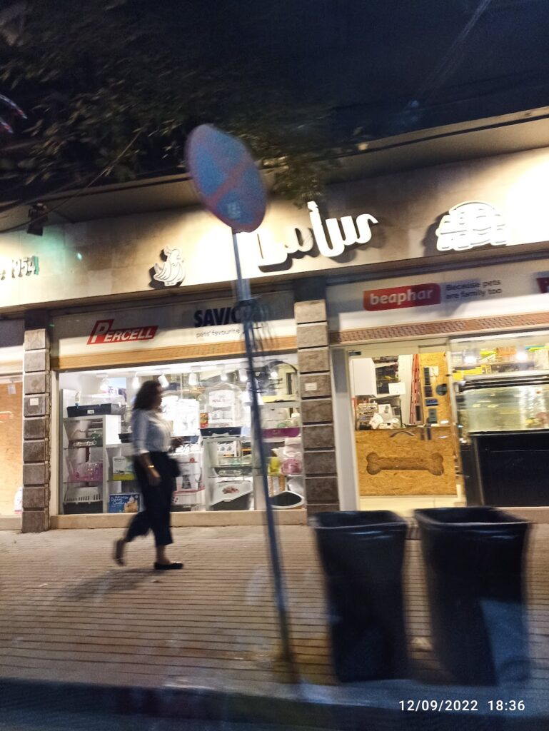 Google Photo 3