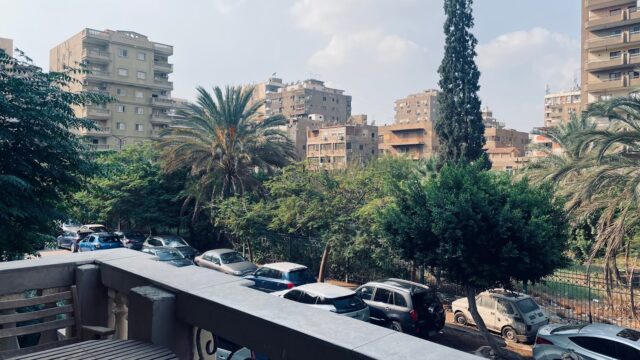Google Photo 9