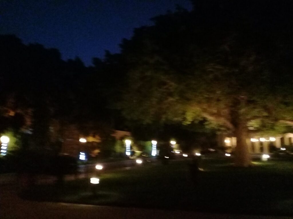 Google Photo 5