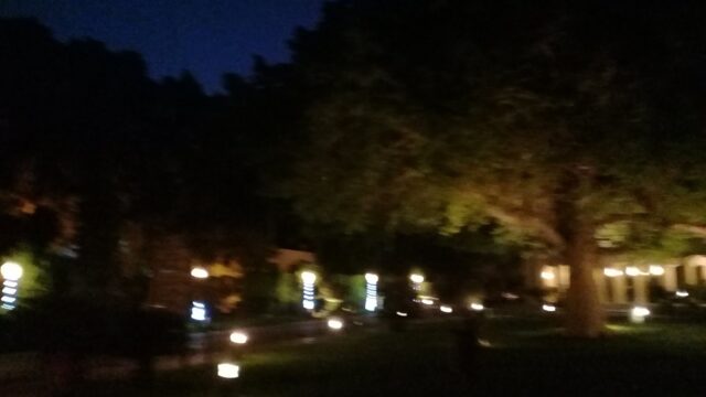 Google Photo 5