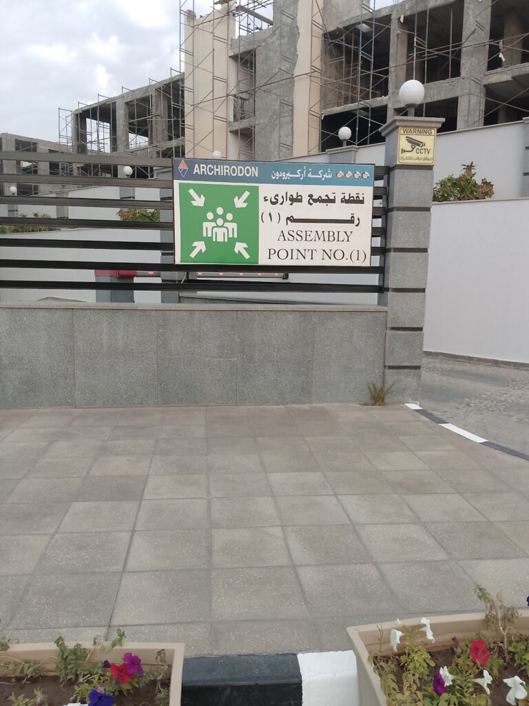 Google Photo 6