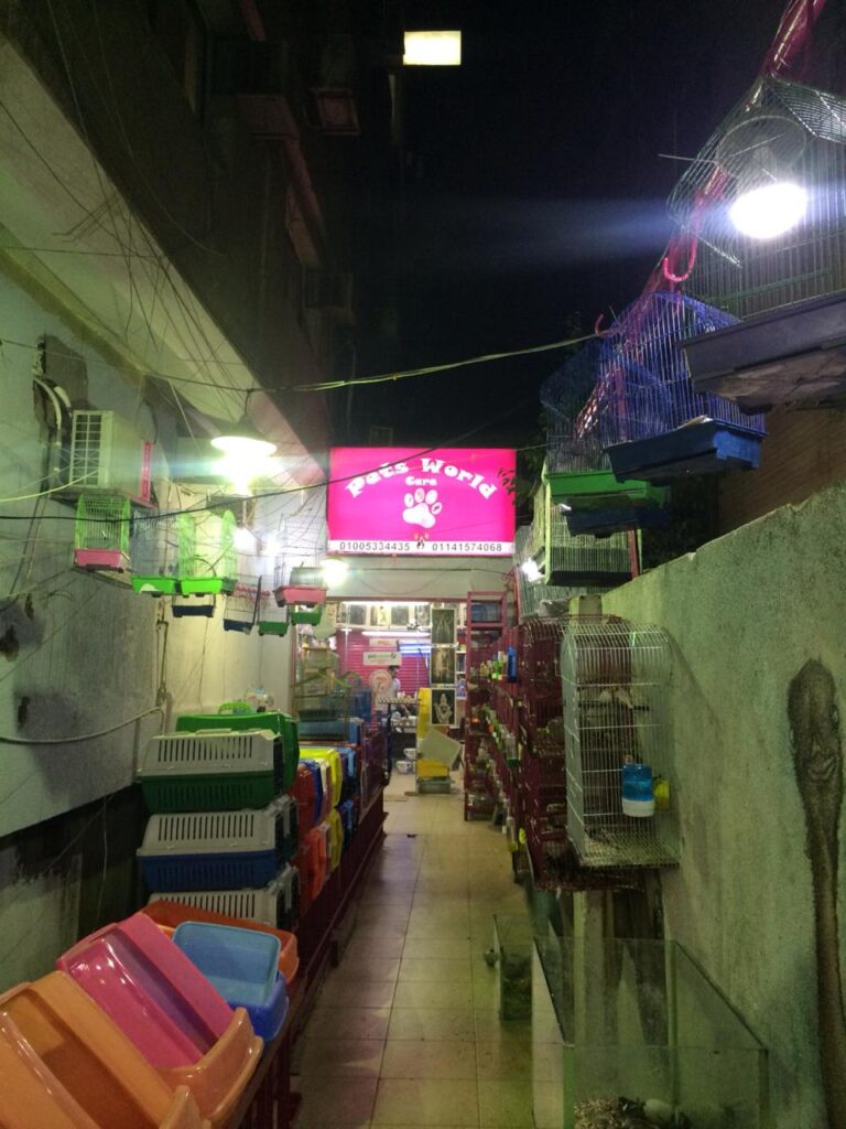 Google Photo 8