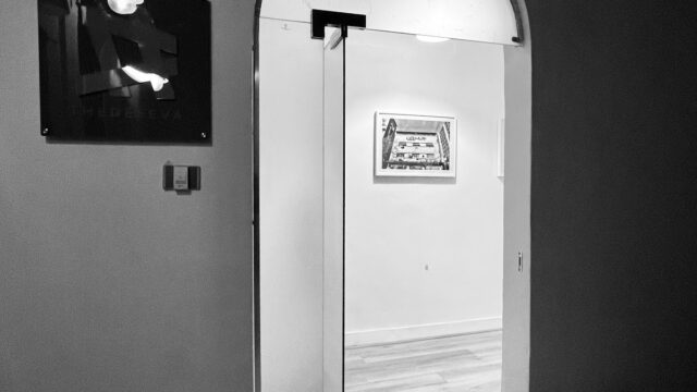 Google Photo 7