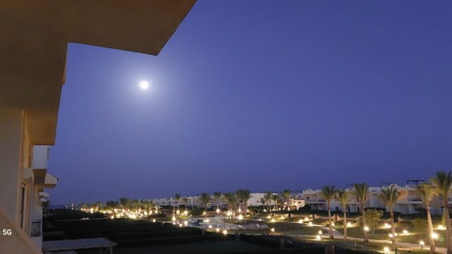 Google Photo 9