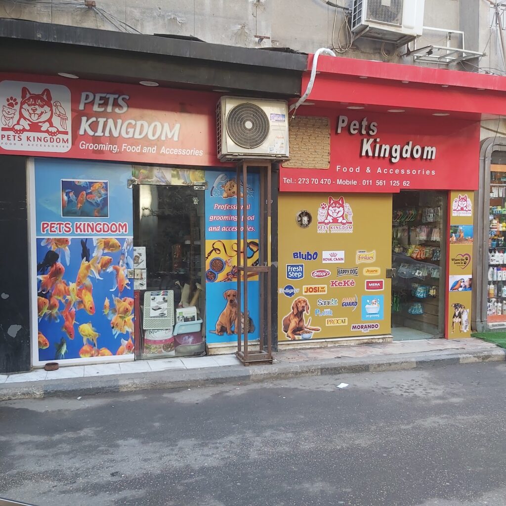 Google Photo 1