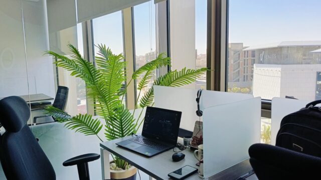 Google Photo 8