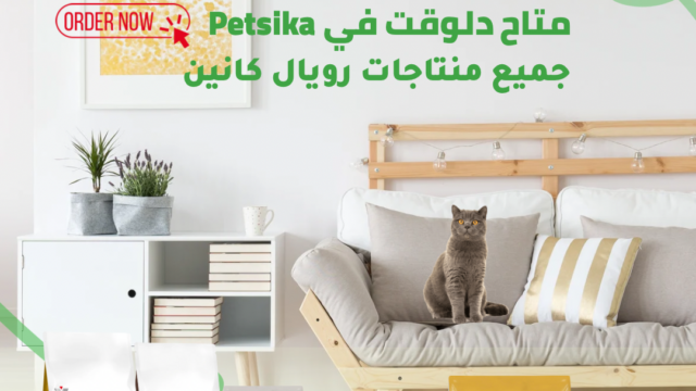 Google Photo 6