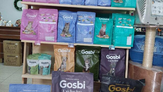 Google Photo 6