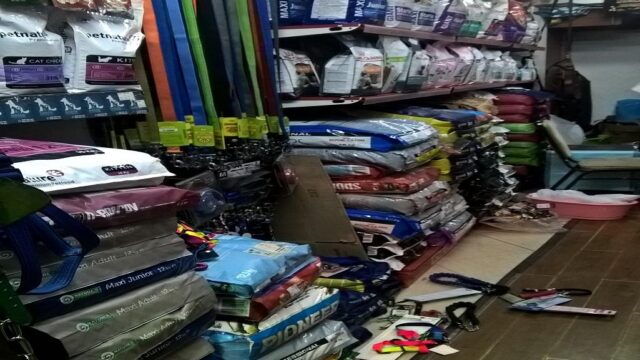 Google Photo 4