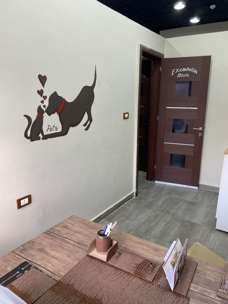 Google Photo 10