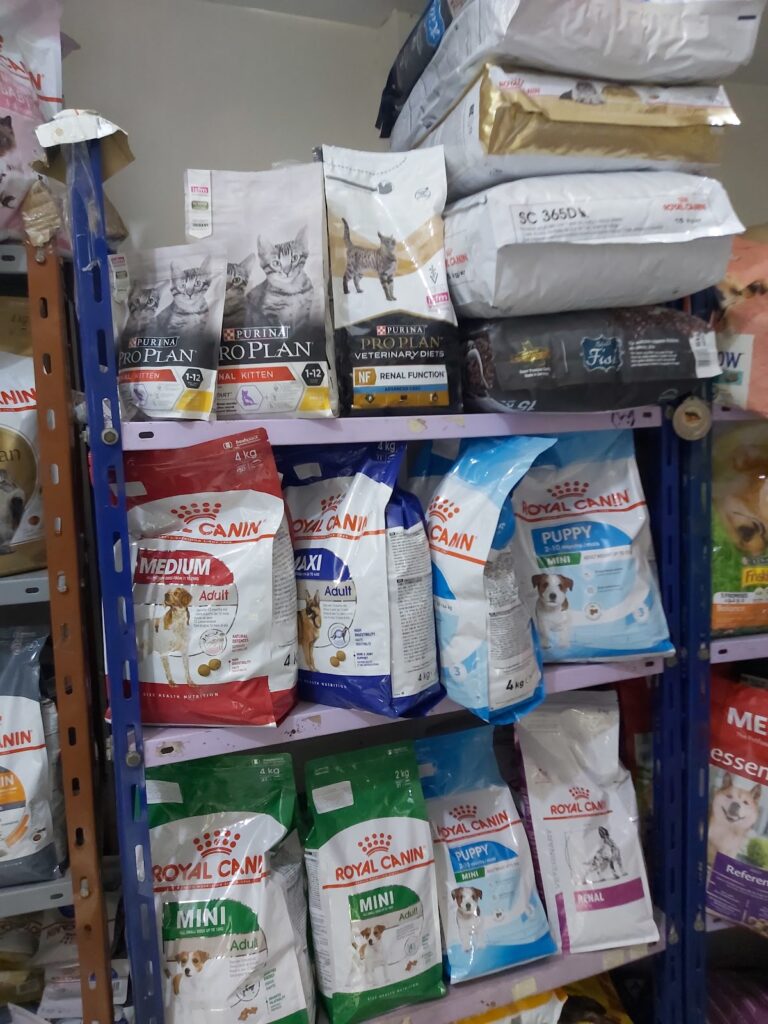 Google Photo 9