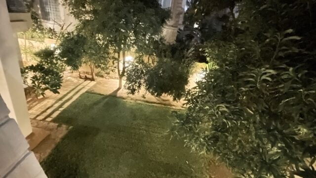 Google Photo 5