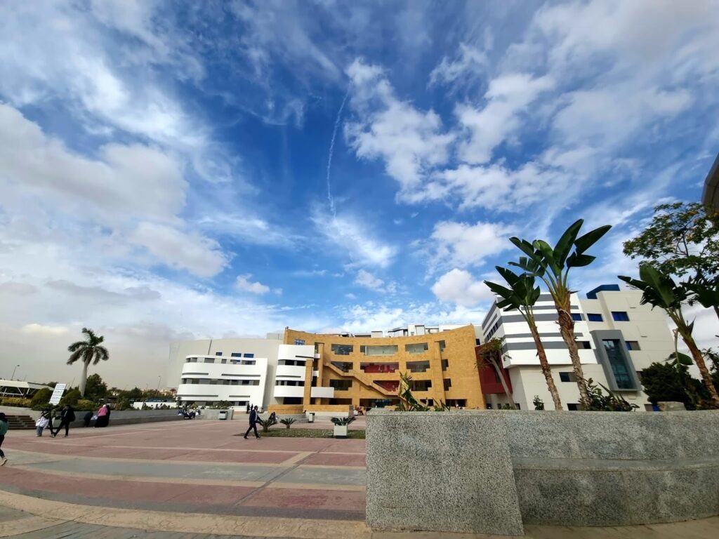 Google Photo 7