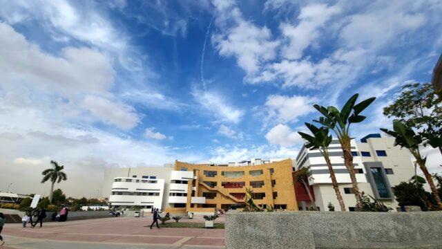 Google Photo 7