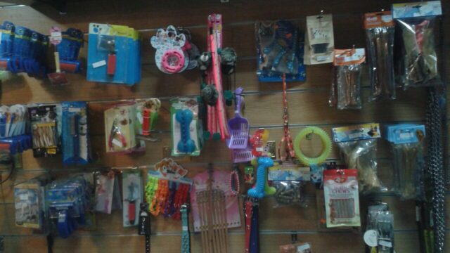 Google Photo 7