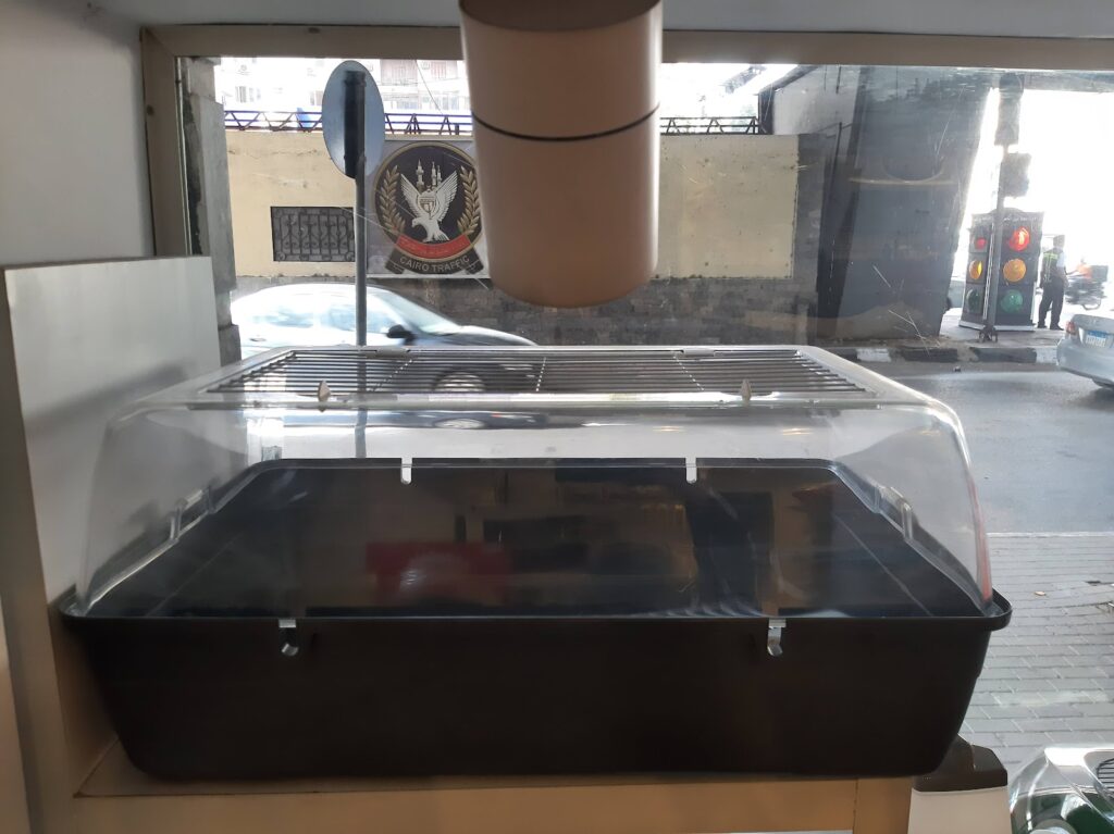 Google Photo 9