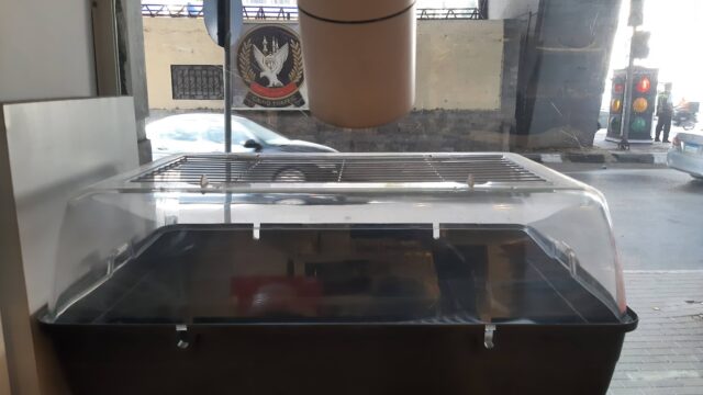 Google Photo 9