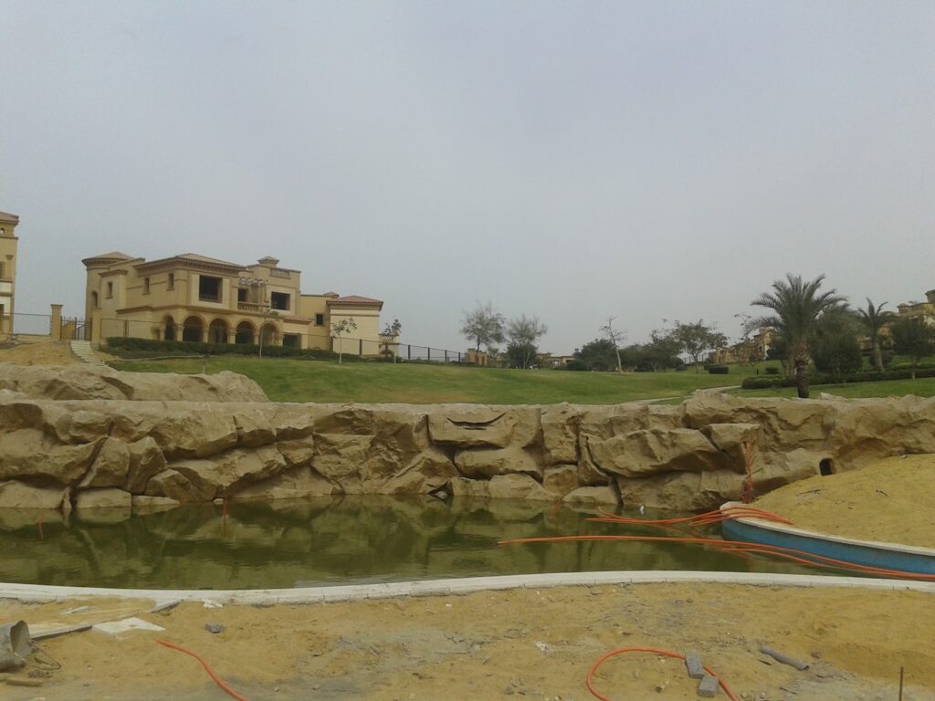 Google Photo 2