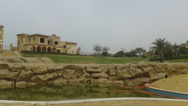Google Photo 2