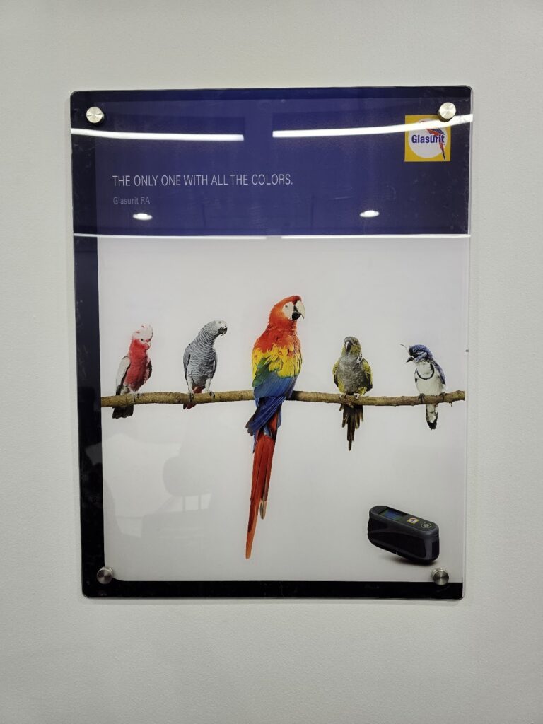 Google Photo 7