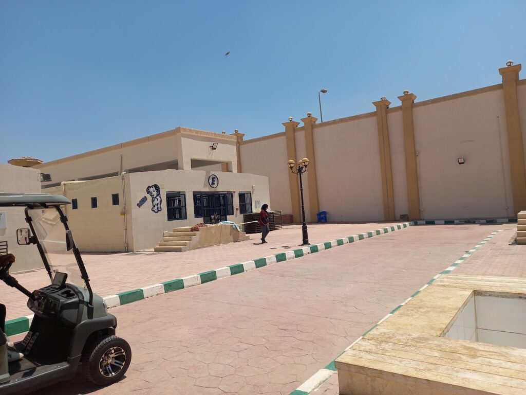 Google Photo 5