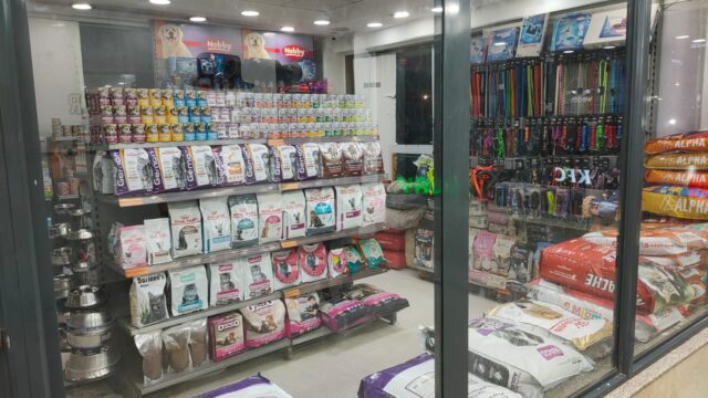Google Photo 2