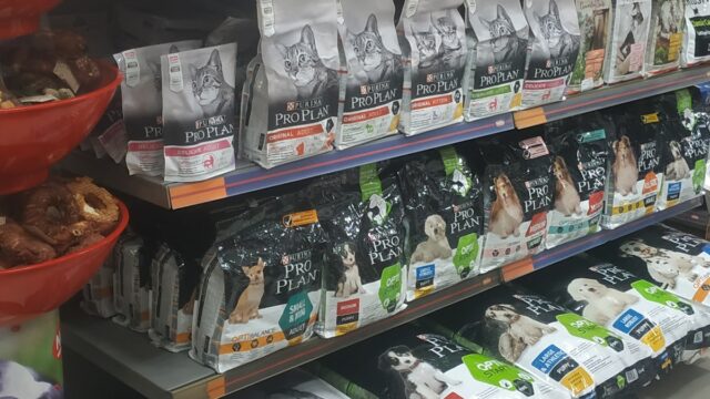 Google Photo 3
