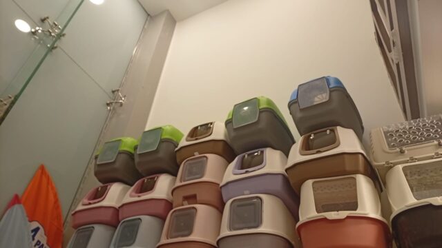 Google Photo 9