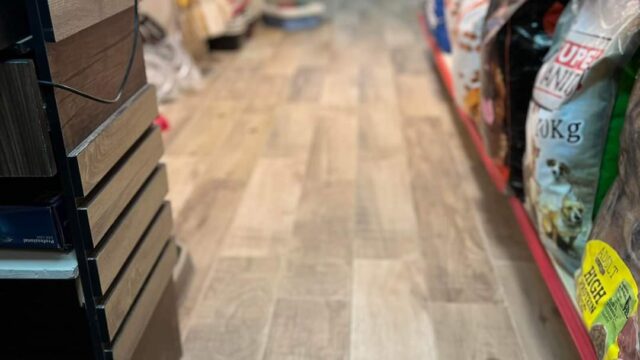 Google Photo 3